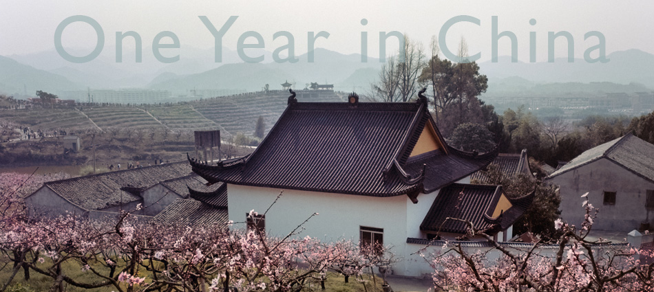 Analog | One Year in China